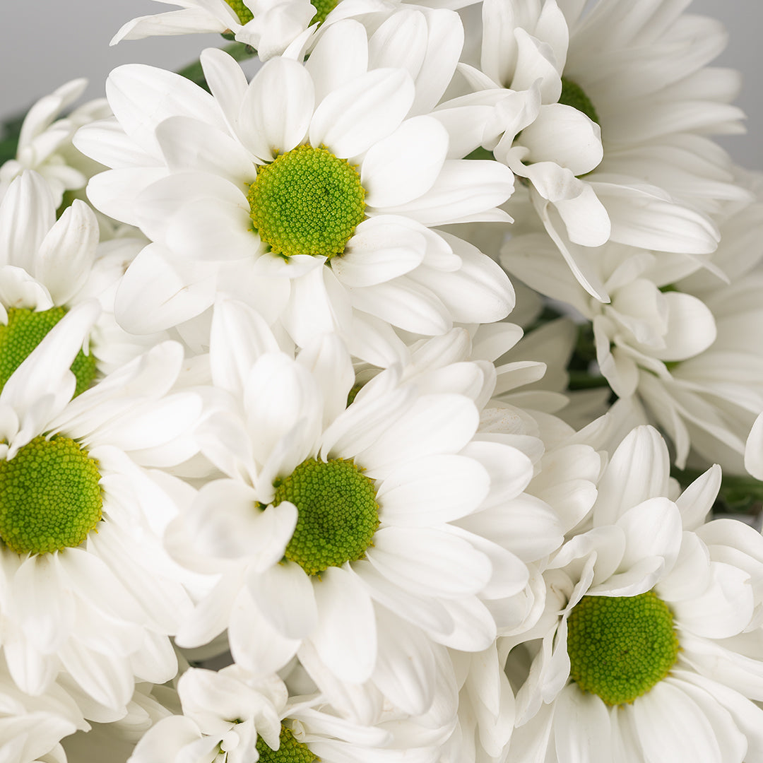 15 Beauty-Hacks mit Natur- und Biokosmetik