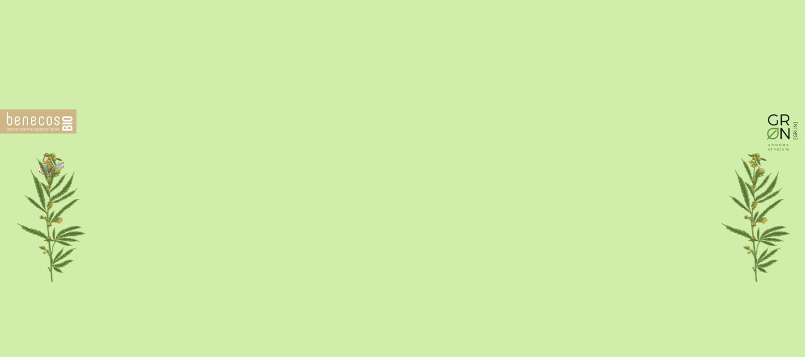 Hanf in der Kosmetik: Die Geheimwaffe für strahlende Haut & glänzendes Haar