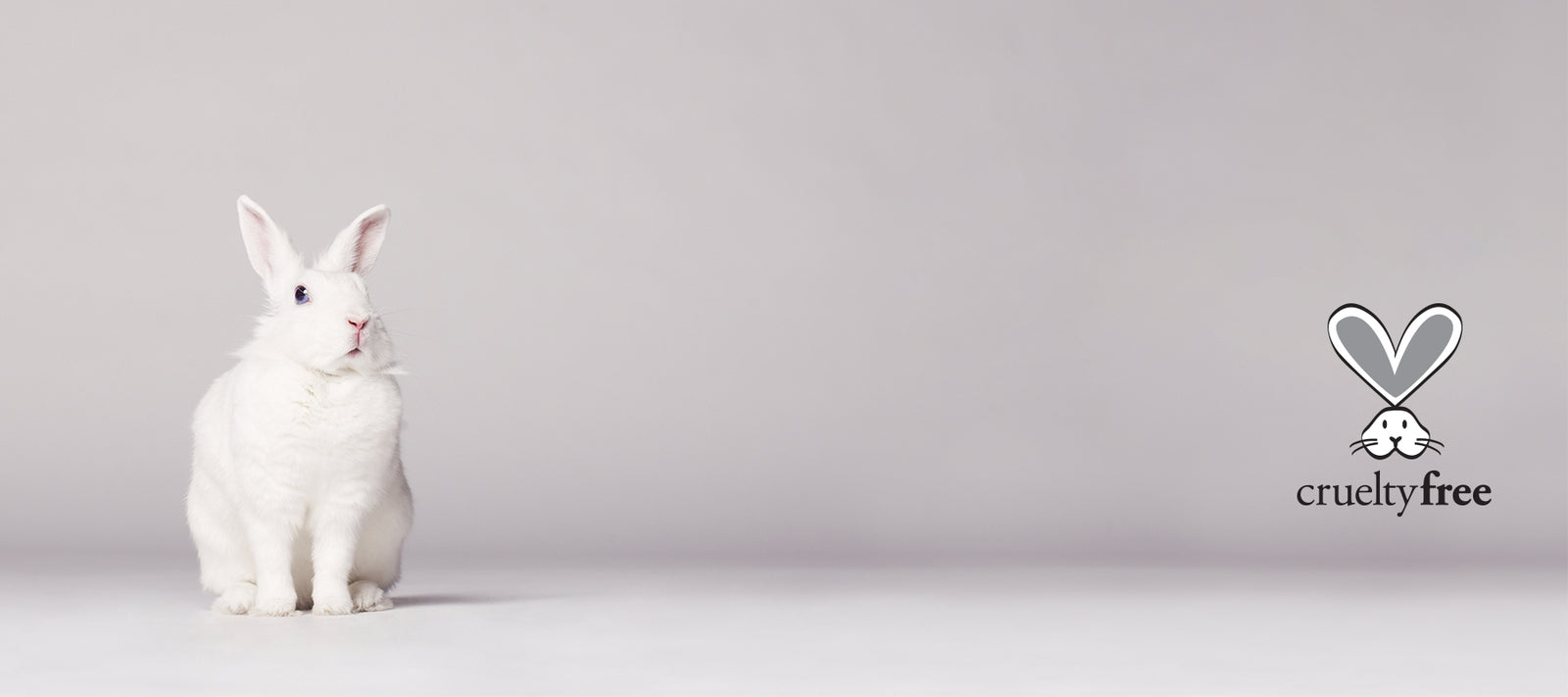 Tiere sind mehr wert!