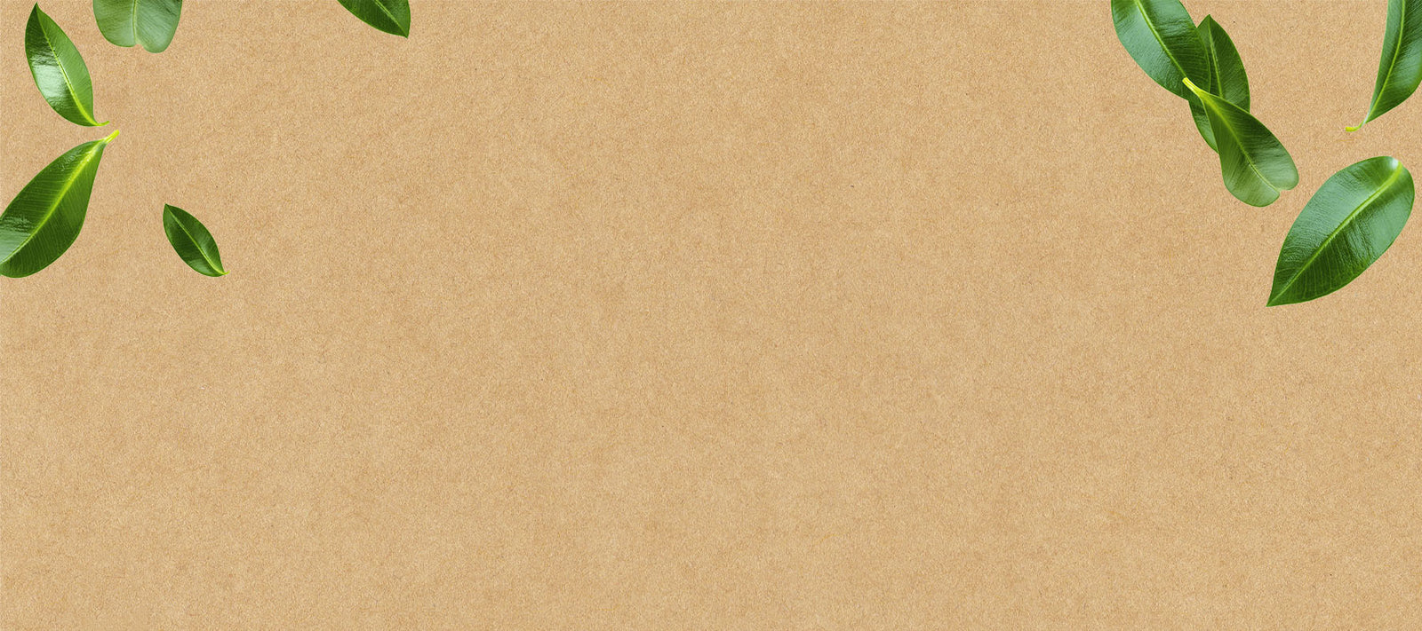 Green communication bei cosmondial