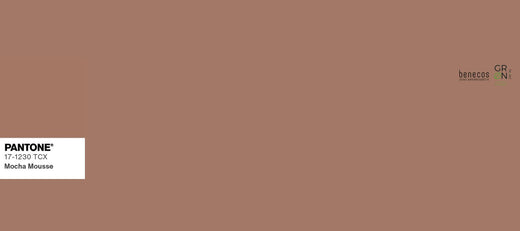 Mocha Mousse ist die Pantone-Farbe des Jahres 2025!