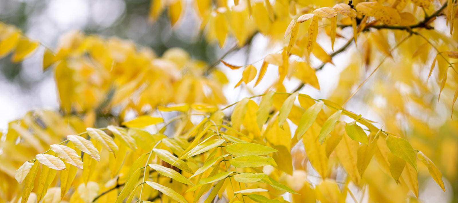 Gutes tun? Das geht!