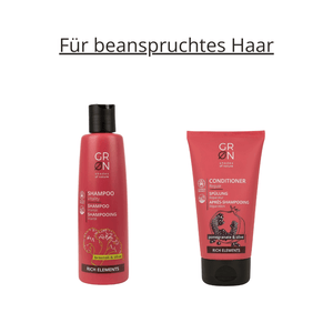 RICH ELEMENTS-Set für beanspruchtes Haar