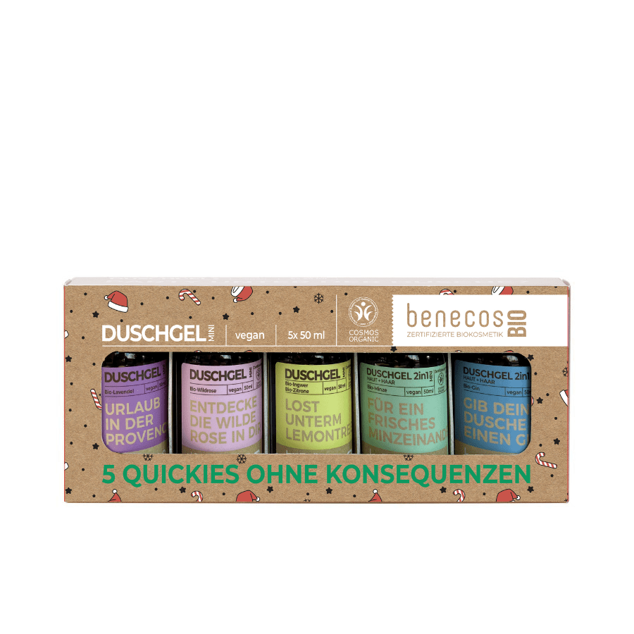 benecosBIO Mini-Weihnachtsset 5 QUICKIES OHNE KONSEQUENZEN